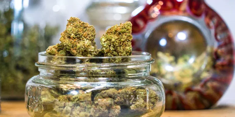 The Ultimate Guide to Choosing the Best D8 Flower for Your Needs
