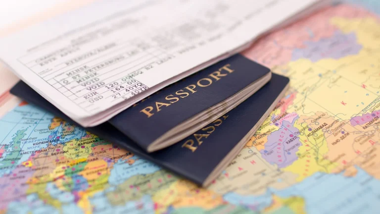 Payment Skimming Operations Targeting Travel Document Applicants During Checkout